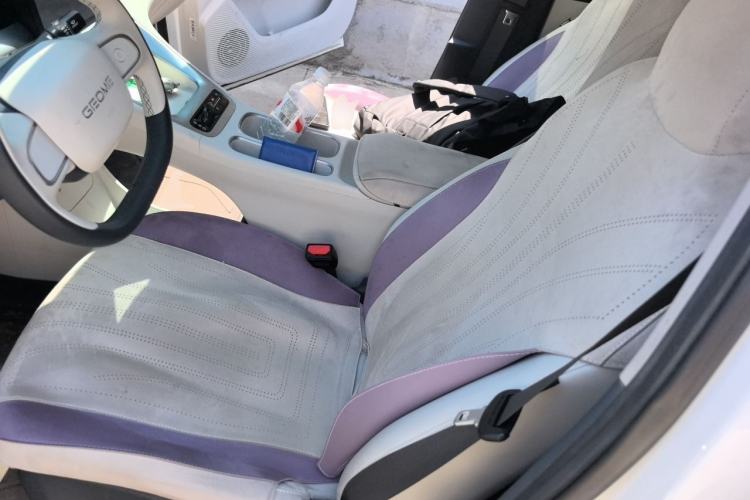 Used Geely Galaxy Geome 2025 310km Youth Edition Left Front Seat