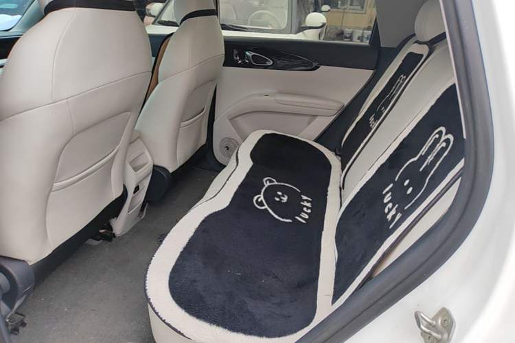 Used Geely Galaxy Geome 2025 310km Dream Edition Left Rear Seat
