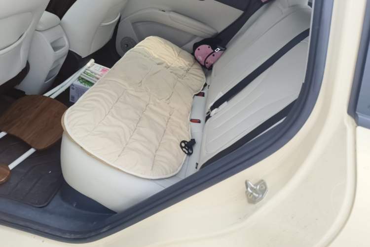 Used Geely Galaxy Geome 2025 310km Youth Edition Left Rear Seat