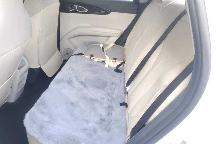 Used Geely Galaxy Geome 2025 310km Youth Edition Left Rear Seat