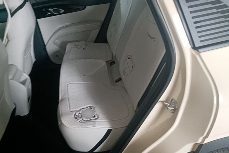 Used Geely Galaxy Geome 2025 310km Youth Edition Left Rear Seat