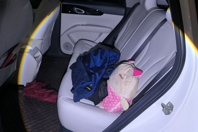 Used Geely Galaxy Geome 2025 310km Youth Edition Left Rear Seat