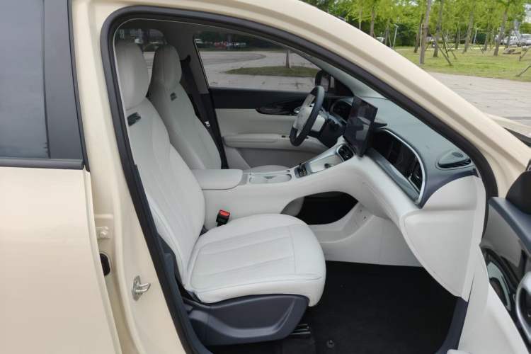 Used Geely Galaxy Geome 2025 310km Dream Edition Right Front Seat