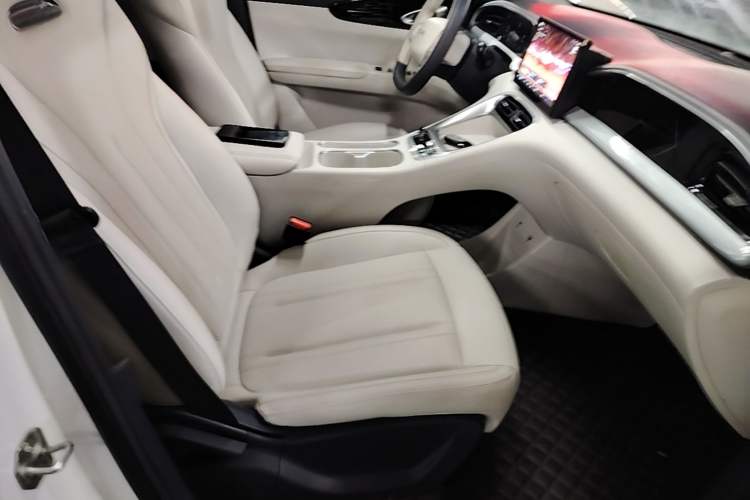 Used Geely Galaxy Geome 2025 310km Youth Edition Right Front Seat