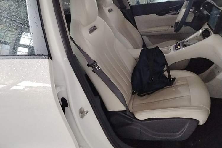 Used Geely Galaxy Geome 2025 310km Youth Edition Right Front Seat