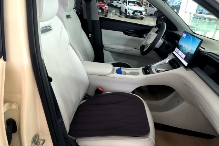 Used Geely Galaxy Geome 2025 310km Dream Edition Right Front Seat