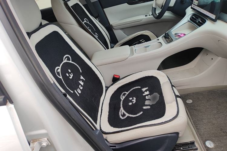 Used Geely Galaxy Geome 2025 310km Dream Edition Right Front Seat