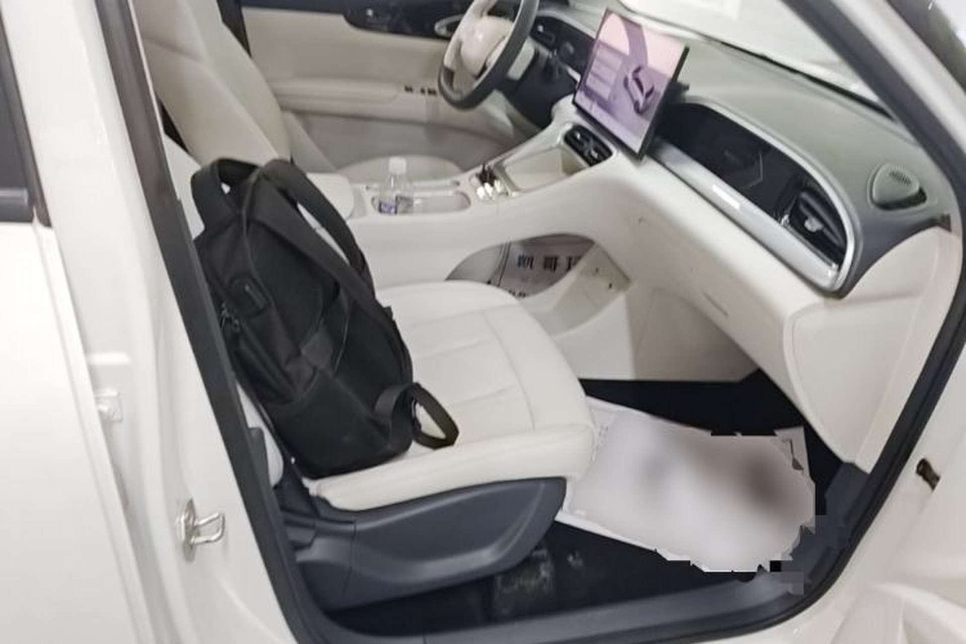 Used Geely Galaxy Geome 2025 310km Dream Edition Right Front Seat
