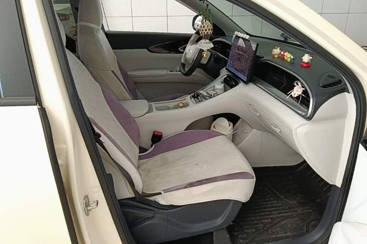 Used Geely Galaxy Geome 2025 310km Dream Edition Right Front Seat