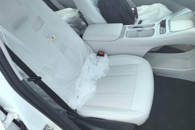 Used Geely Galaxy Geome 2025 310km Dream Edition Right Front Seat