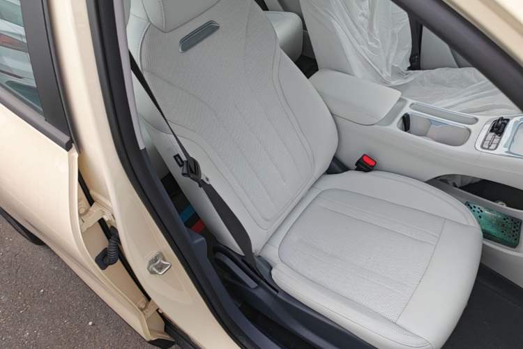 Used Geely Galaxy Geome 2025 310km Dream Edition Right Front Seat