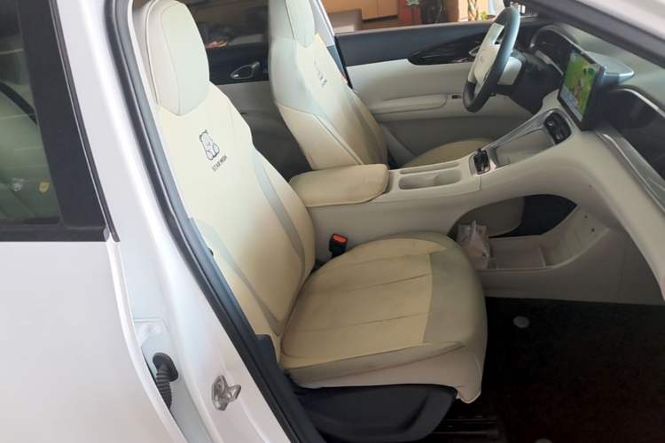 Used Geely Galaxy Geome 2025 310km Youth Edition Right Front Seat