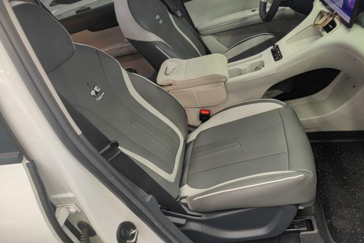 Used Geely Galaxy Geome 2025 UP 410km Exploration Edition Right Front Seat
