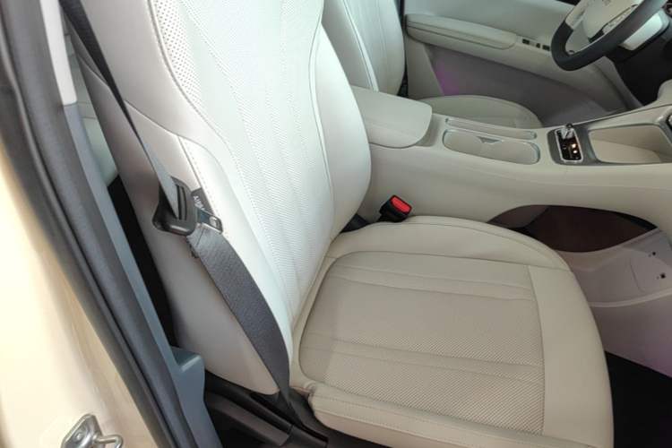Used Geely Galaxy Geome 2025 310km Dream Edition Right Front Seat