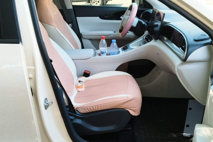 Used Geely Galaxy Geome 2025 UP 410km Exploration Edition Right Front Seat