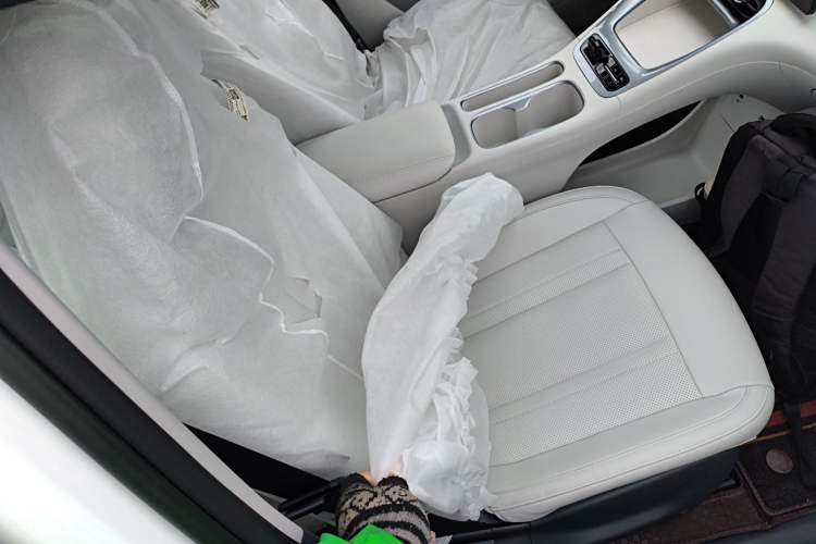 Used Geely Galaxy Geome 2025 310km Dream Edition Right Front Seat