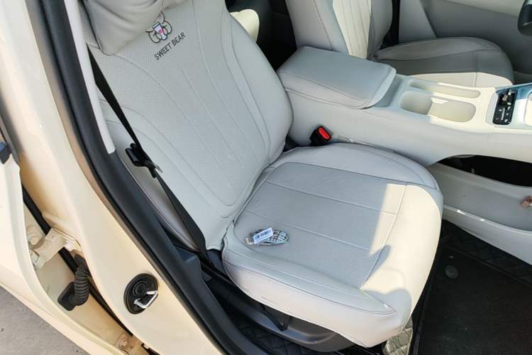 Used Geely Galaxy Geome 2025 310km Dream Edition Right Front Seat