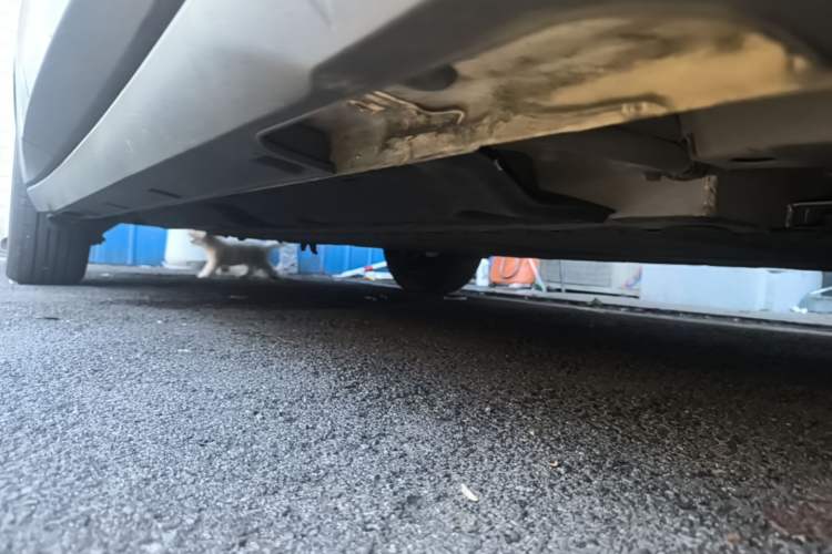 Used Geely Galaxy Geome 2025 310km Youth Edition Right Side Sill