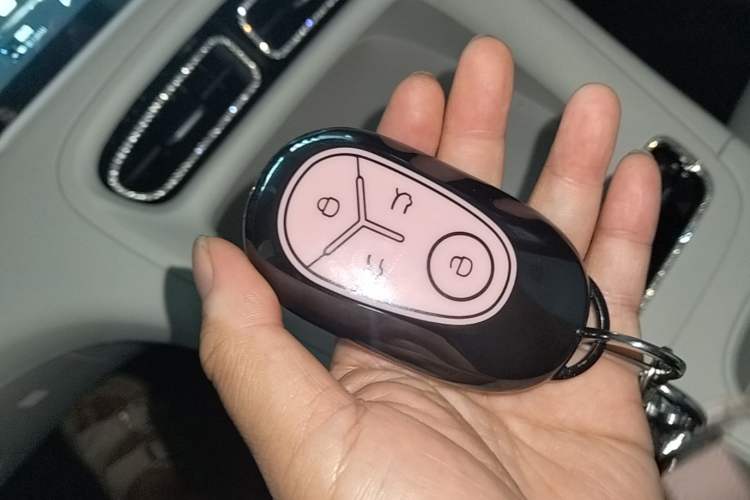 Used Geely Galaxy Geome 2025 310km Youth Edition Vehicle Key