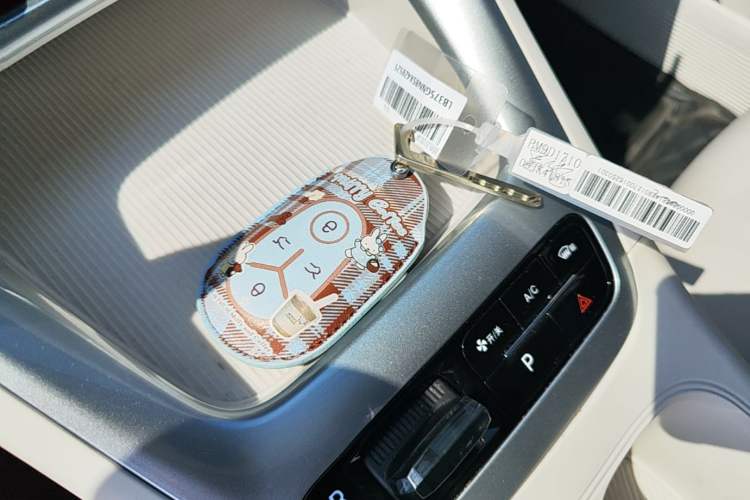 Used Geely Galaxy Geome 2025 310km Dream Edition Vehicle Key