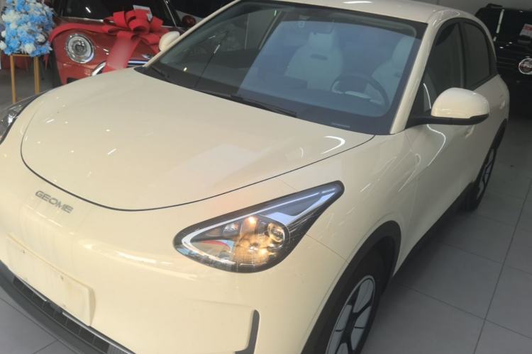 Geely Galaxy Geome 2025 310km Youth Edition