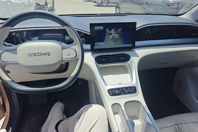 Used Geely Galaxy Geome 2025 310km Youth Edition Center Console