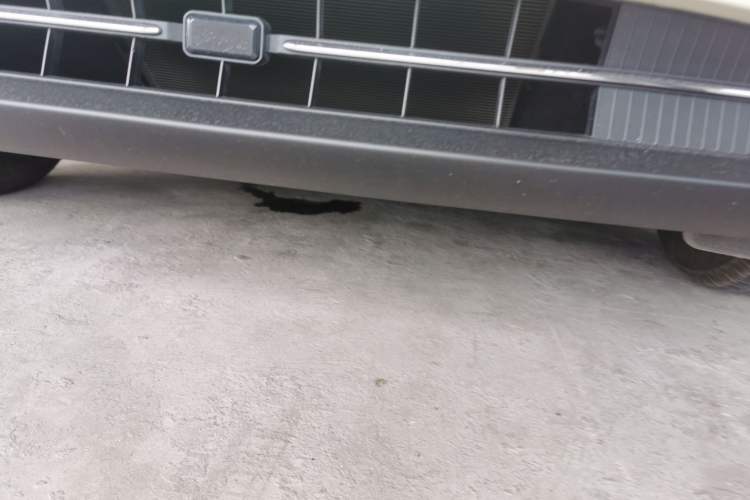 Used Geely Galaxy Geome 2025 310km Dream Edition Chassis Front