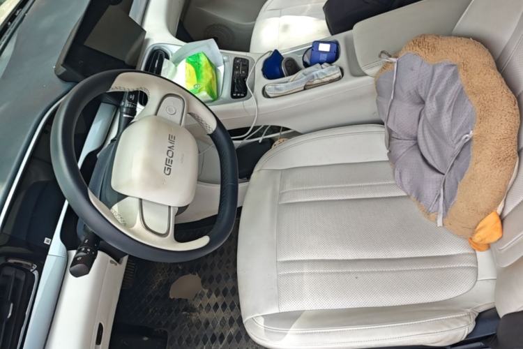 Used Geely Galaxy Geome 2025 310km Youth Edition Driver Seat