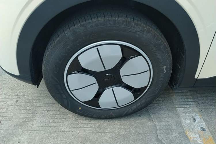Used Geely Galaxy Geome 2025 310km Youth Edition Exterior 4