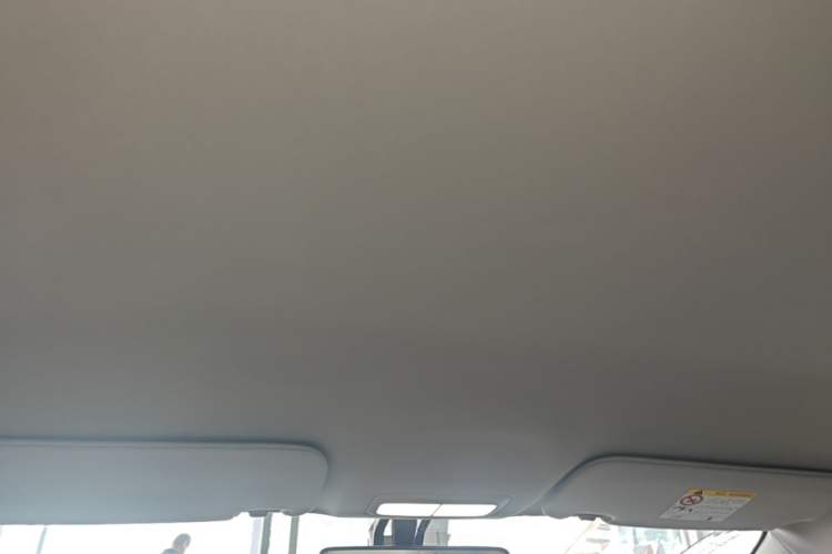 Used Geely Galaxy Geome 2025 310km Dream Edition Headliner