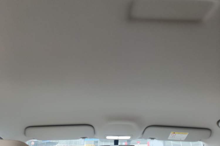 Used Geely Galaxy Geome 2025 310km Youth Edition Headliner