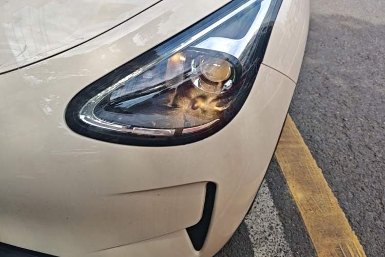 Used Geely Galaxy Geome 2025 310km Youth Edition Left Front Headlight