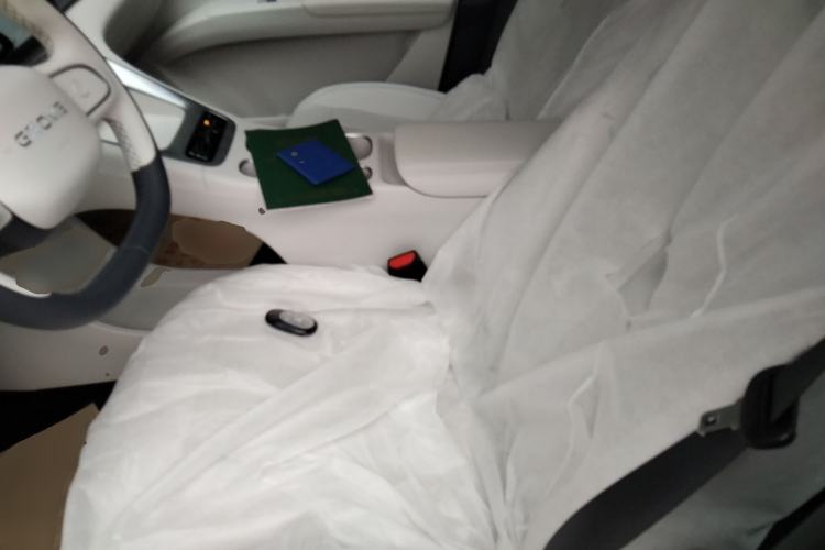Used Geely Galaxy Geome 2025 310km Youth Edition Left Front Seat