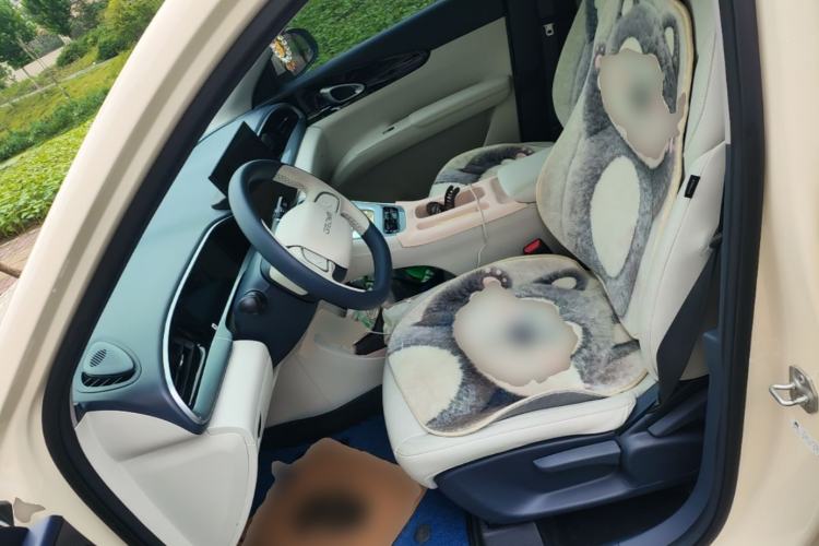 Used Geely Galaxy Geome 2025 310km Dream Edition Left Front Seat