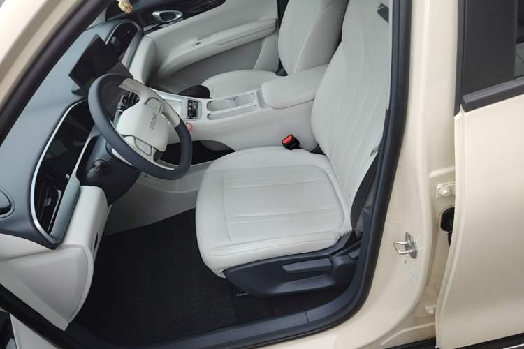 Used Geely Galaxy Geome 2025 310km Dream Edition Left Front Seat