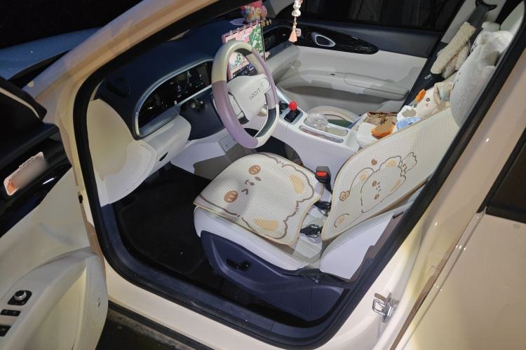 Used Geely Galaxy Geome 2025 UP 410km Exploration Edition Left Front Seat