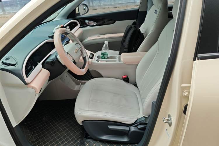 Used Geely Galaxy Geome 2025 310km Youth Edition Left Front Seat