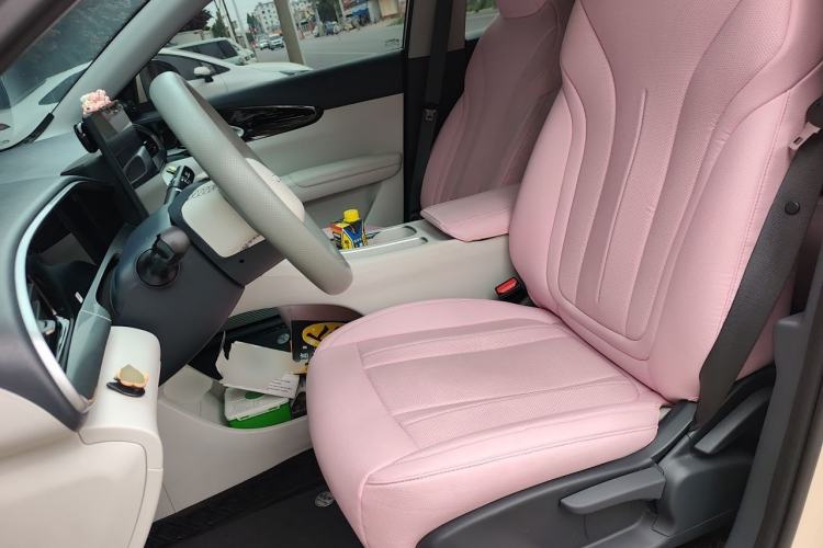Used Geely Galaxy Geome 2025 310km Dream Edition Left Front Seat
