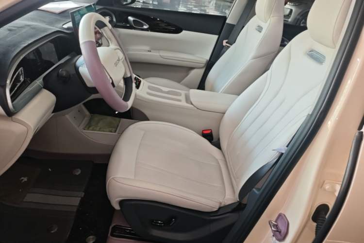 Used Geely Galaxy Geome 2025 UP 410km Exploration Edition Left Front Seat