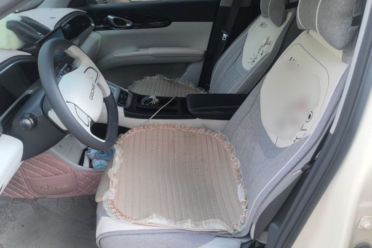 Used Geely Galaxy Geome 2025 310km Youth Edition Left Front Seat