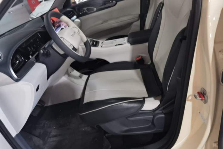Used Geely Galaxy Geome 2025 310km Dream Edition Left Front Seat