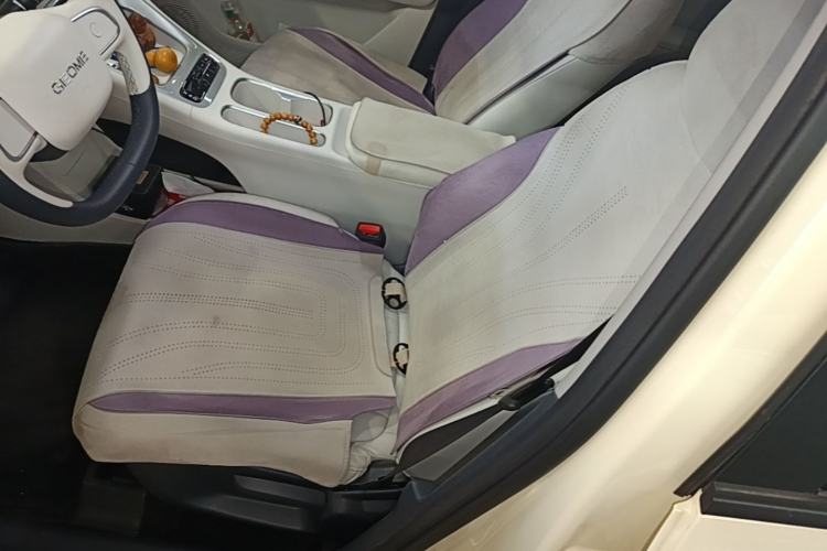 Used Geely Galaxy Geome 2025 310km Youth Edition Left Front Seat