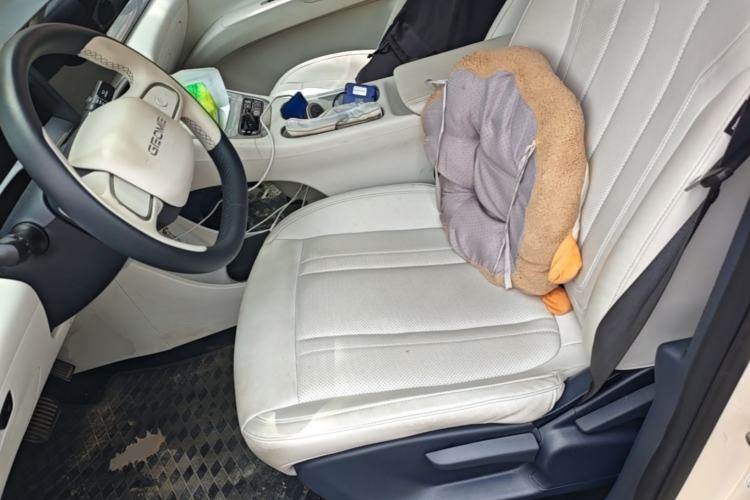 Used Geely Galaxy Geome 2025 310km Youth Edition Left Front Seat