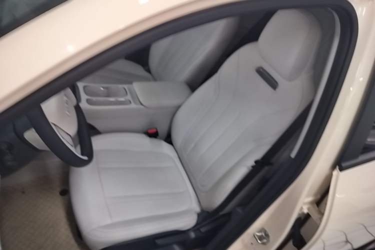 Used Geely Galaxy Geome 2025 310km Youth Edition Left Front Seat