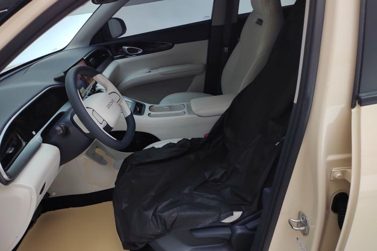 Used Geely Galaxy Geome 2025 310km Youth Edition Left Front Seat