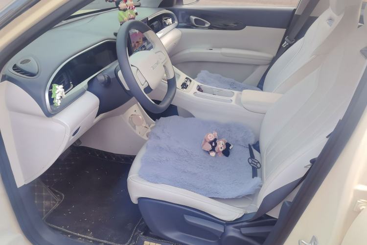 Used Geely Galaxy Geome 2025 310km Youth Edition Left Front Seat