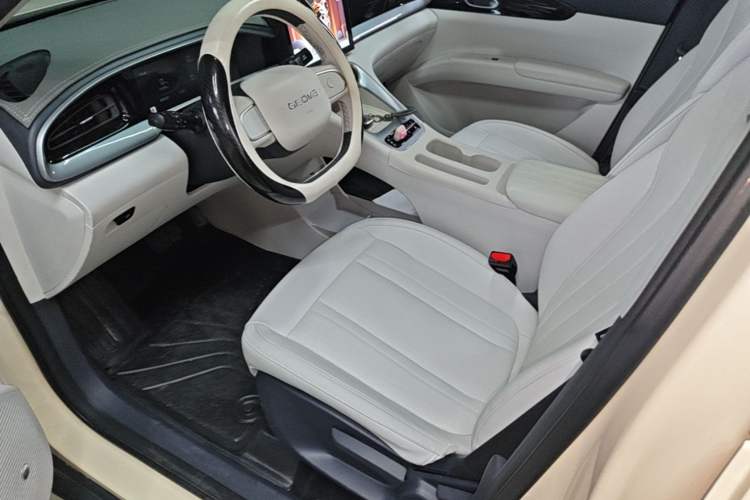 Used Geely Galaxy Geome 2025 310km Youth Edition Left Front Seat