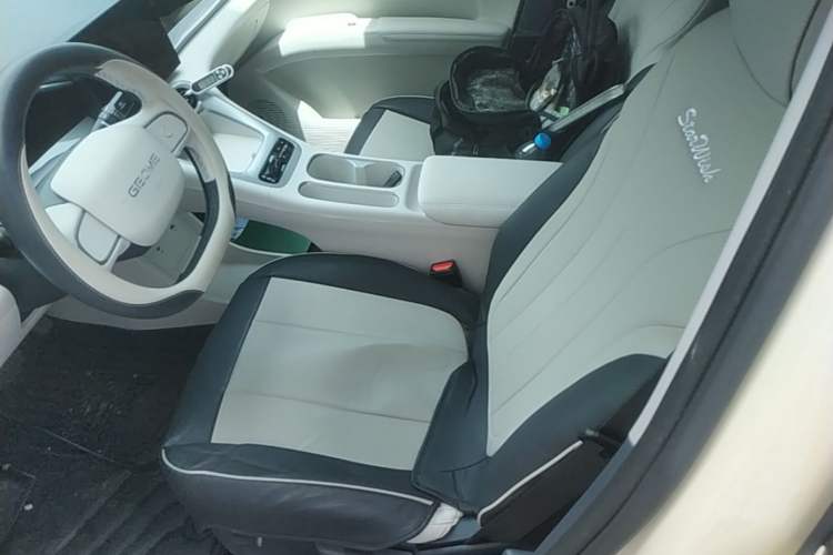 Used Geely Galaxy Geome 2025 310km Youth Edition Left Front Seat
