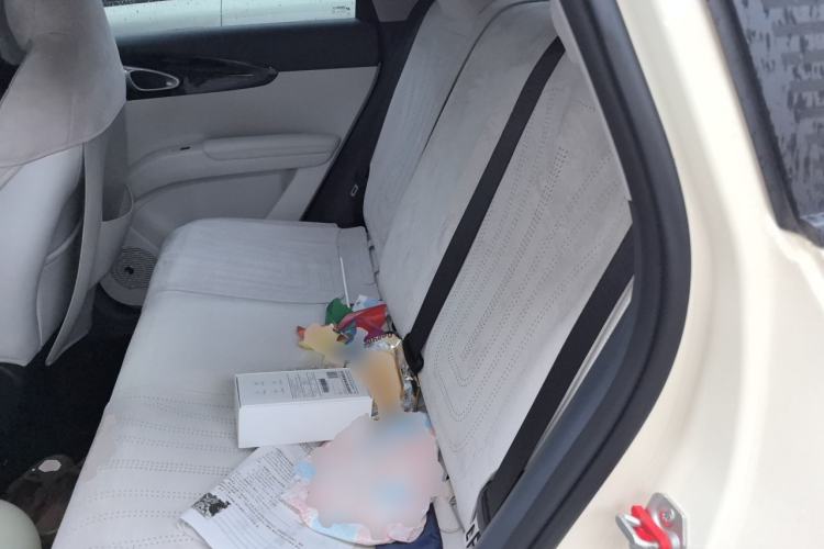 Used Geely Galaxy Geome 2025 310km Youth Edition Left Rear Seat