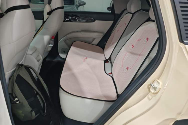 Used Geely Galaxy Geome 2025 310km Dream Edition Left Rear Seat